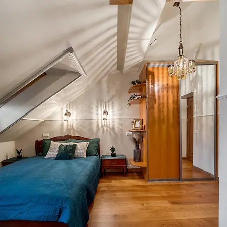 Апартаменты Old Town Traku Street Вильнюс